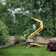 Best Leaf Removal  in Fowlerville, MI